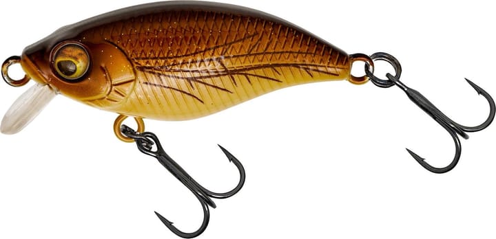 Westin Gift Box Radosław Witólskis Favorites Westin