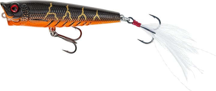 Westin Gift Box Radosław Witólskis Favorites Westin