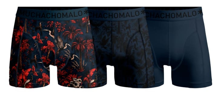 Muchachomalo Palm Birds 01 3pk Boxer Print/print/solid Muchachomalo