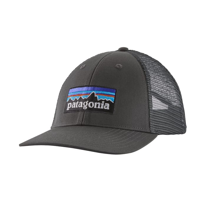 P-6 Logo Lopro Trucker Hat Forge Grey Patagonia