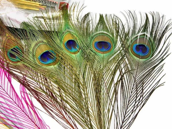Frodin Flies Peacock Eye Feather Pack Frodin Flies