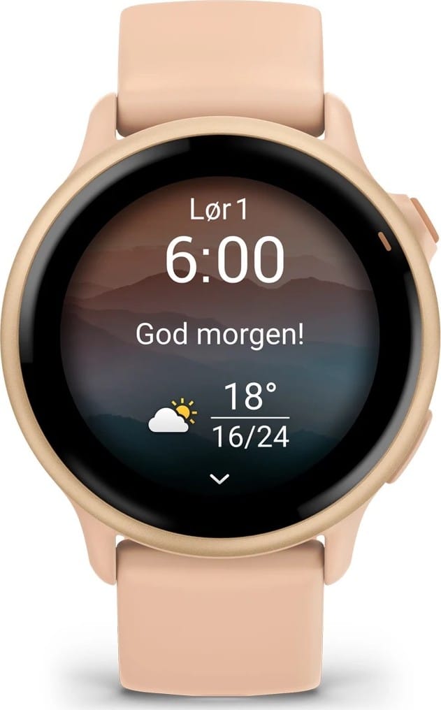 Garmin Vivoactive 6 Pink Dawn/P. Dawn Metallic Garmin