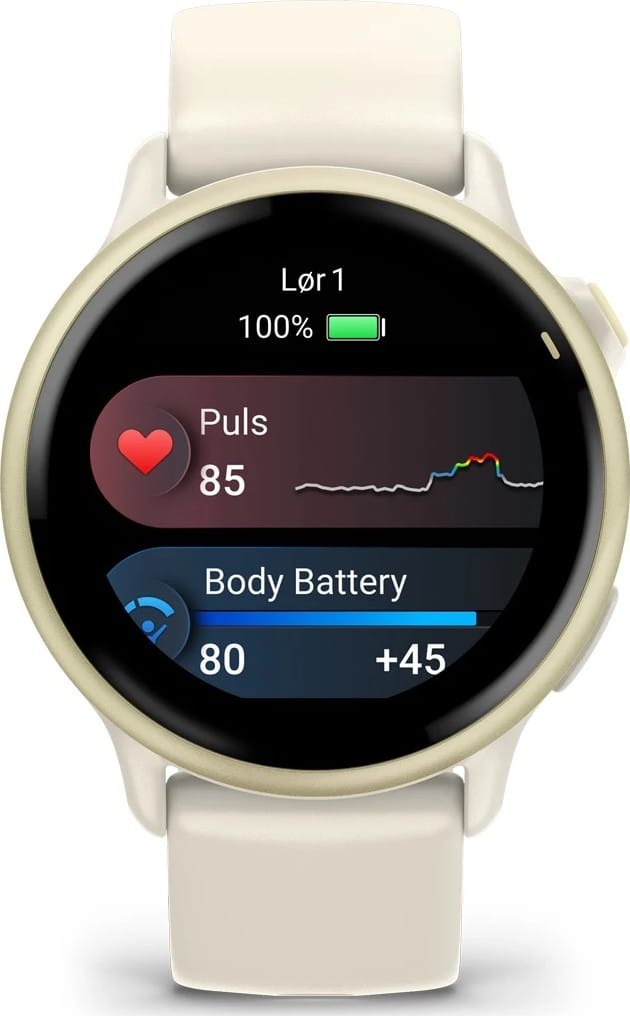 Garmin Vivoactive 6 Bone/Lunar Gold Garmin