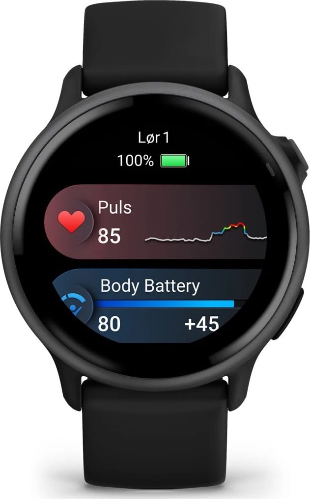 Garmin Vivoactive 6 Black/Slate Garmin