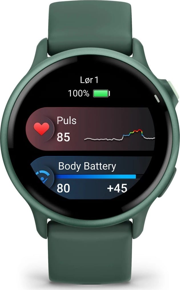 Garmin Vivoactive 6 Jasper Green/J. Green Metallic Garmin