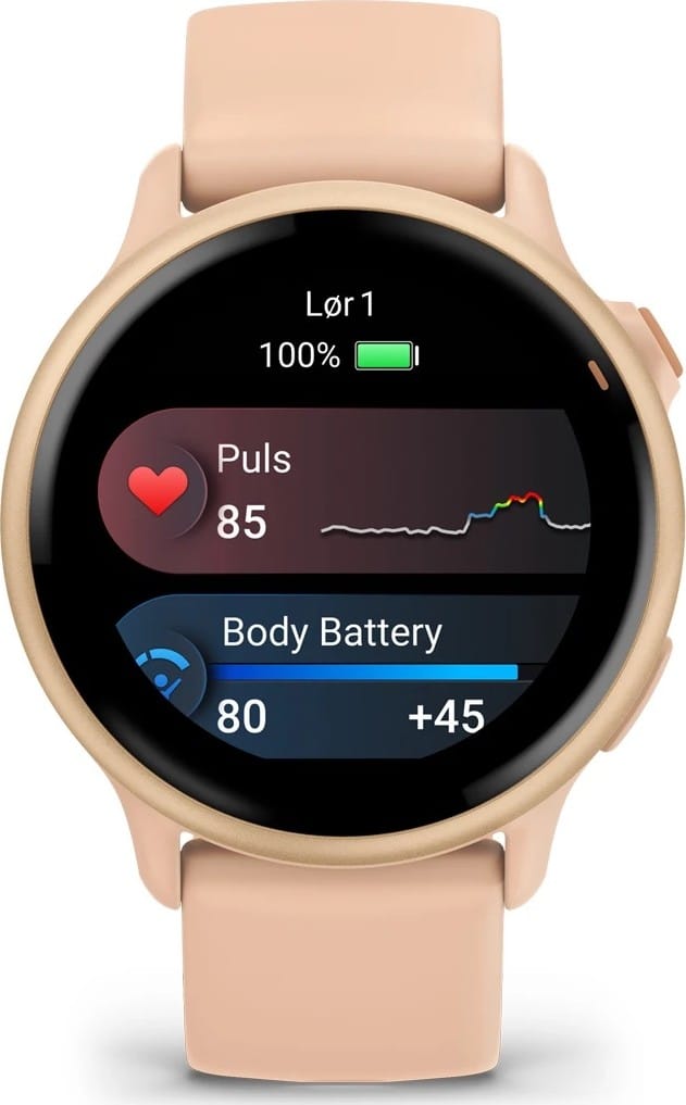 Garmin Vivoactive 6 Pink Dawn/P. Dawn Metallic Garmin
