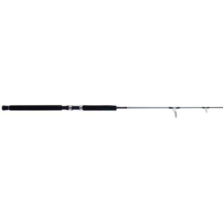 Penn Prevail III Jig Rod Penn