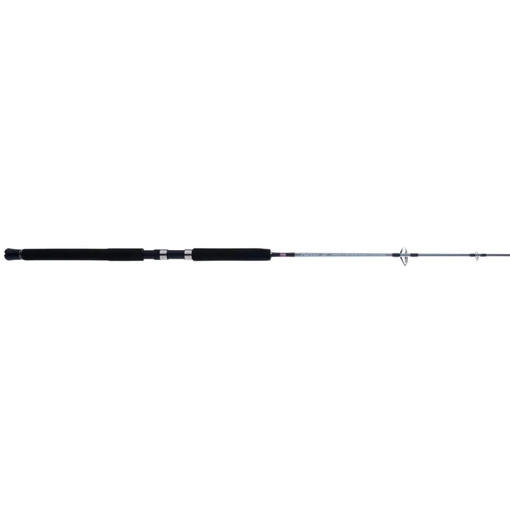 Penn Prevail III Jig Rod Penn