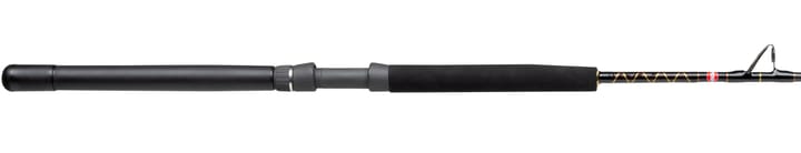 Penn Penn Squall II Trolling Casting Rod Penn