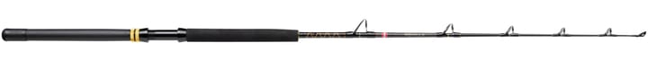 Penn Penn Squall II Trolling Casting Rod Penn
