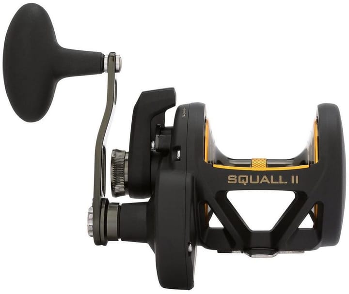 Penn Squall II Lever Drag Reel Penn