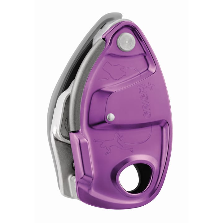 Petzl Grigri + Violet Petzl