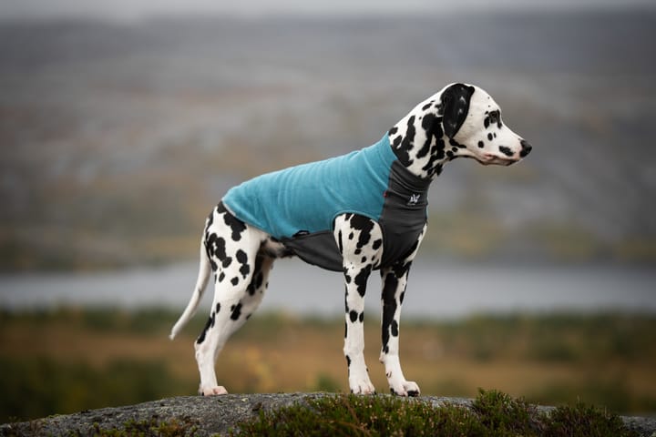 Non-stop Dogwear Trail Quest Fleece Pullover - Small Sizes Teal Non-stop Dogwear Non-stop Dogwear Trail Quest Fleece Pullover - Small Sizes Teal Non-stop Dogwear
