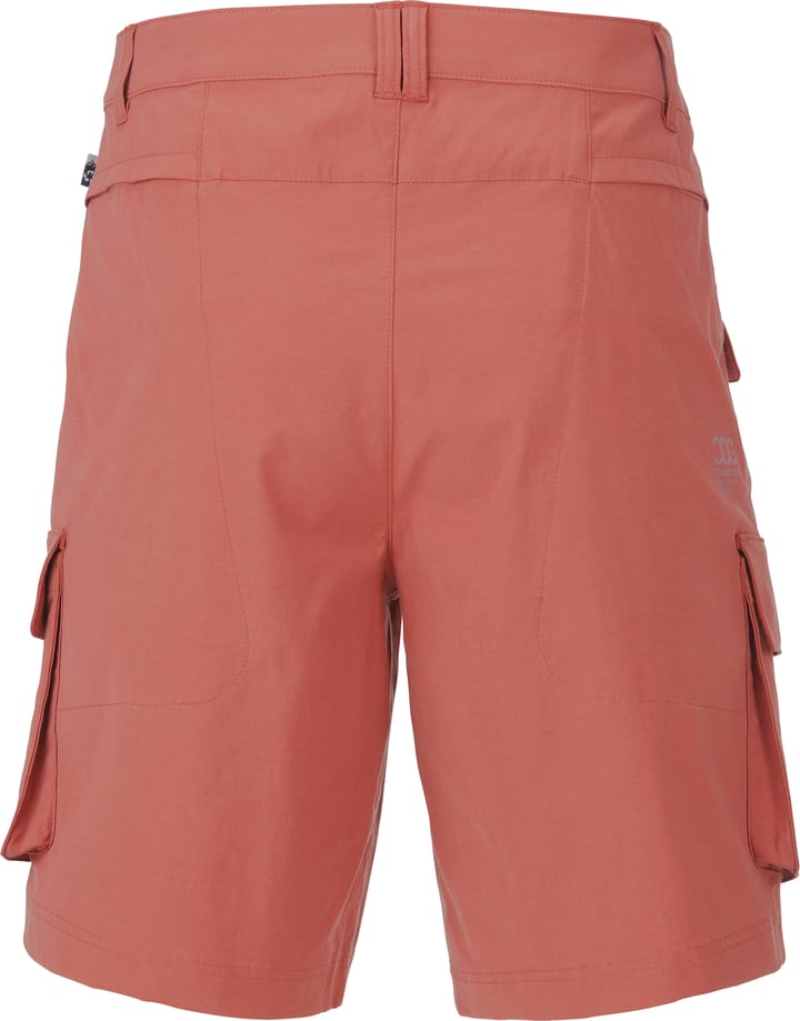 Picture Organic Clothing Men's Robust Shorts Rustic Brown Picture Organic Clothing