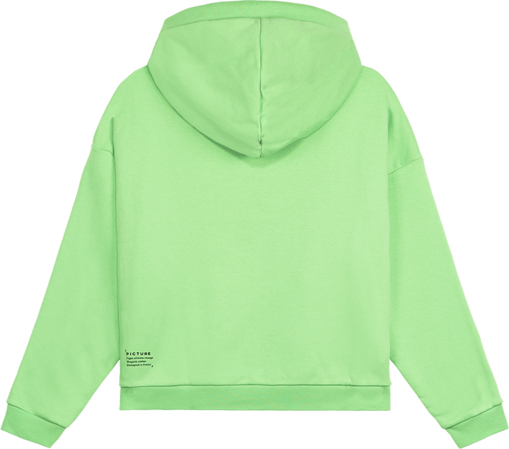 Women's Henia Hoodie Absinthe Green Picture Organic Clothing