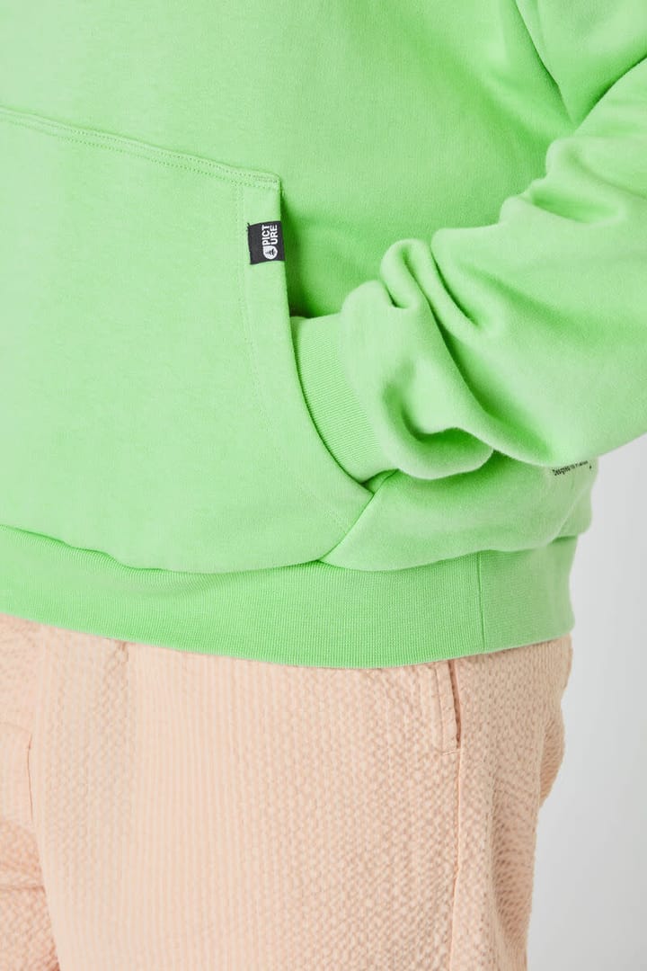 Picture Organic Clothing Women's Henia Hoodie Absinthe Green Picture Organic Clothing
