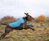 Non-stop Dogwear Trail Quest Fleece Pullover Teal Non-stop Dogwear Non-stop Dogwear Trail Quest Fleece Pullover Teal Non-stop Dogwear