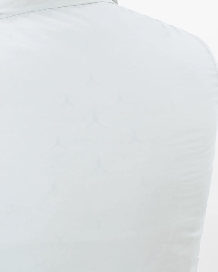 Salomon Women's Mountain Flex Jacket Pearl Blue/ Salomon