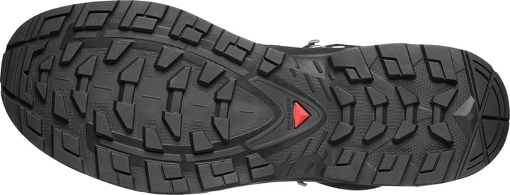 Salomon Quest 5 GORE-TEX Asphalt / Black / Asphalt Salomon