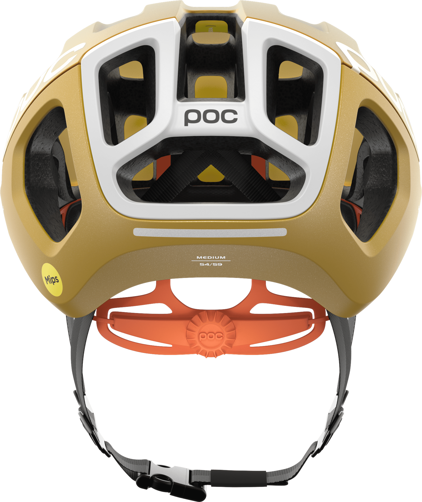 poc-ventral-tempus-mips-