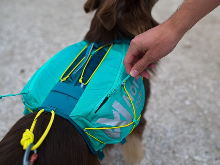 Non-stop Dogwear Trail Light Dog Backpack Teal Non-stop Dogwear