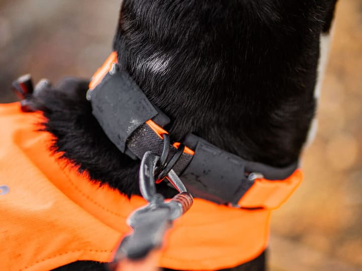 Non-stop Dogwear Protector Collar Orange Non-stop Dogwear