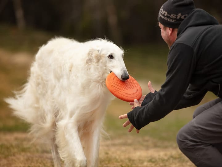 Non-stop Dogwear Dog Flying Disc Orange/black Non-stop Dogwear