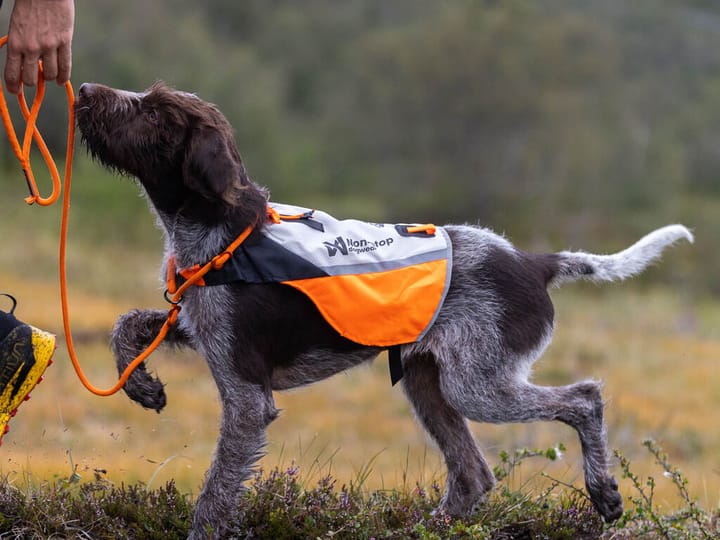 Non-stop Dogwear Protector Cover 2.0 White/Black/Orange Non-stop Dogwear