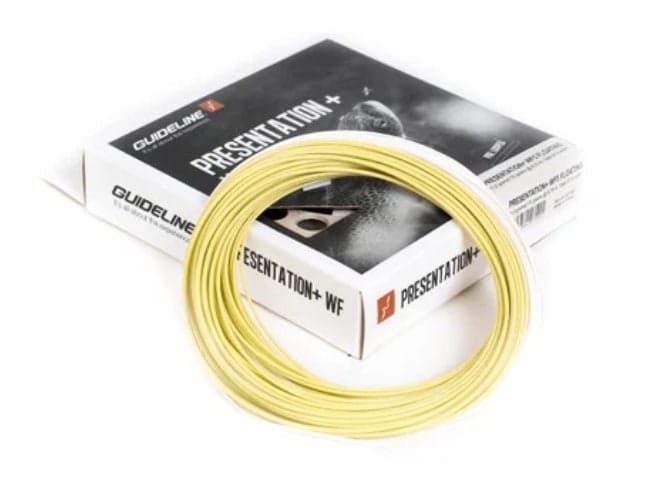 Guideline Presentation+ WF Guideline