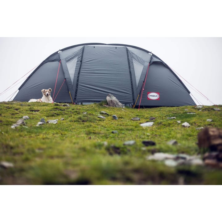 Primus Bifrost H4 Nocolour Primus