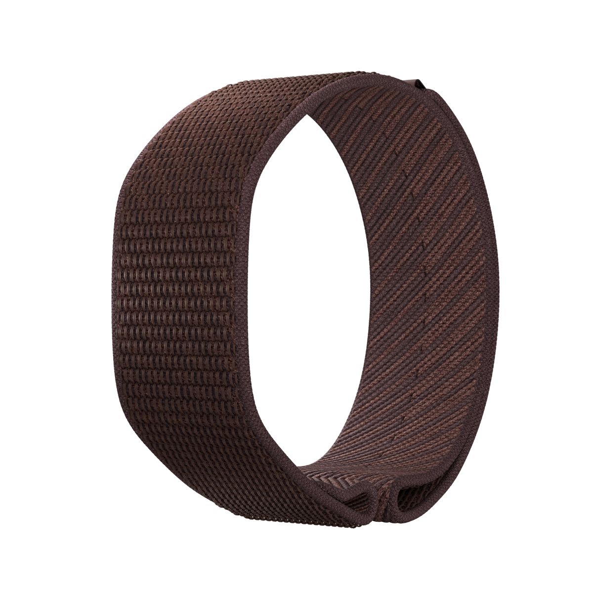 Polar Wb Loop Brown