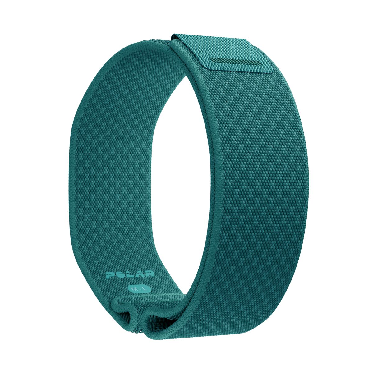 Polar Wb Loop Teal