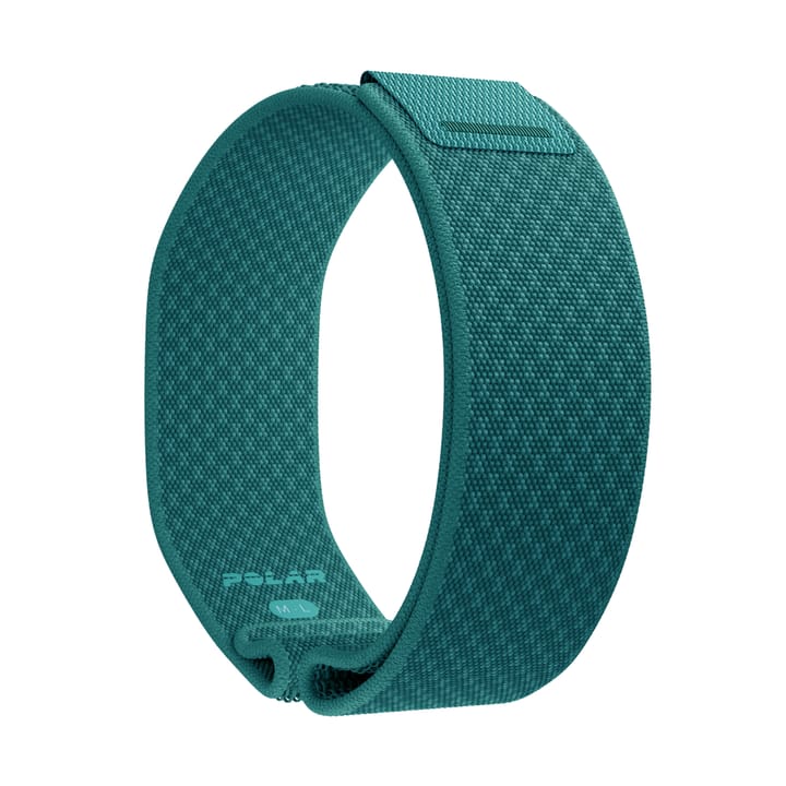Polar Wb Loop Teal Polar