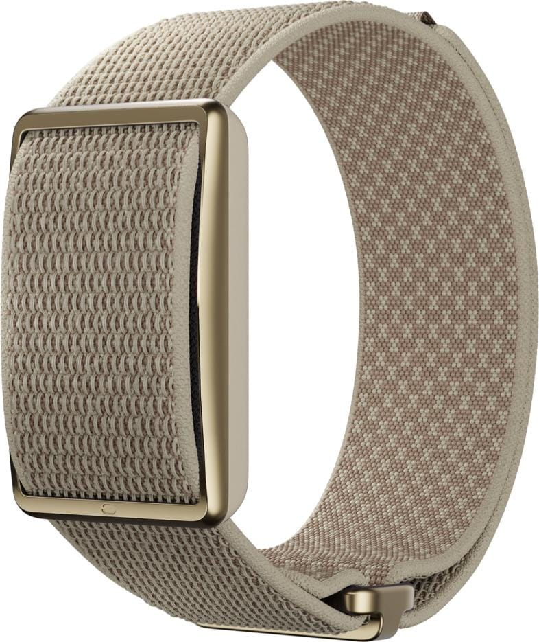 Polar Loop Gold