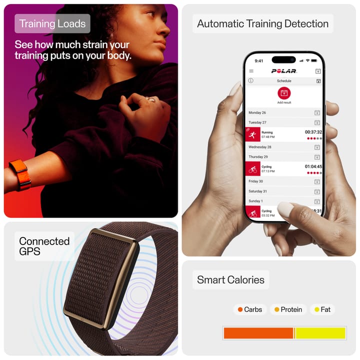 Polar Loop Copper/brown Polar