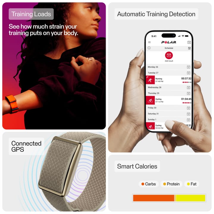 Polar Loop Gold/sand Polar