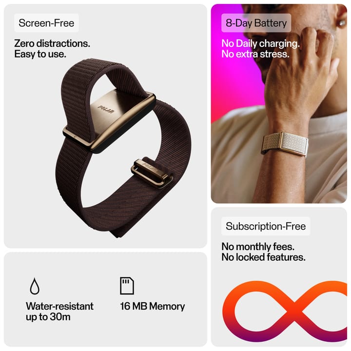 Polar Loop Copper/brown Polar