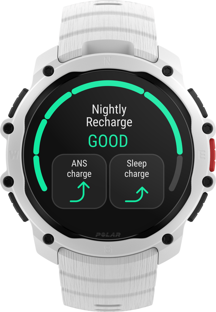 Polar Street X White Polar