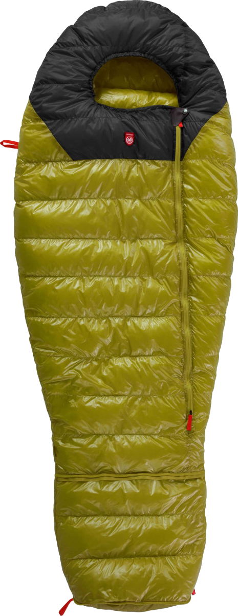 PAJAK Kids' Quest Bear
