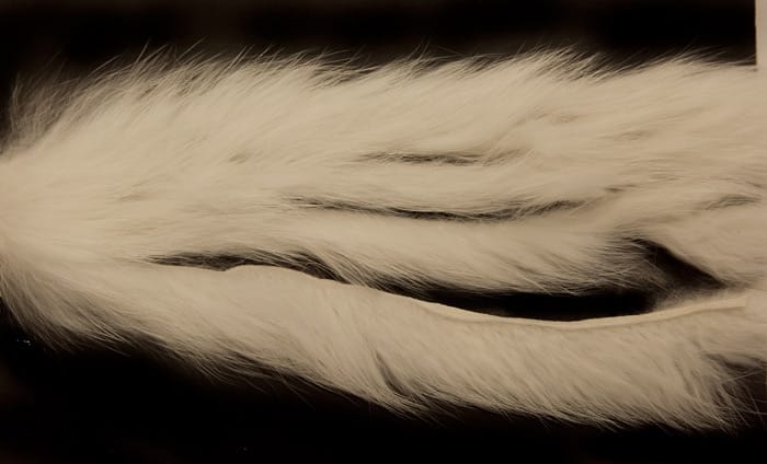 The Fly Co Rabbit Strips S-Cut 3mm - White The Fly Co The Fly Co The Fly Co Rabbit Strips S-Cut 3mm - White The Fly Co The Fly Co