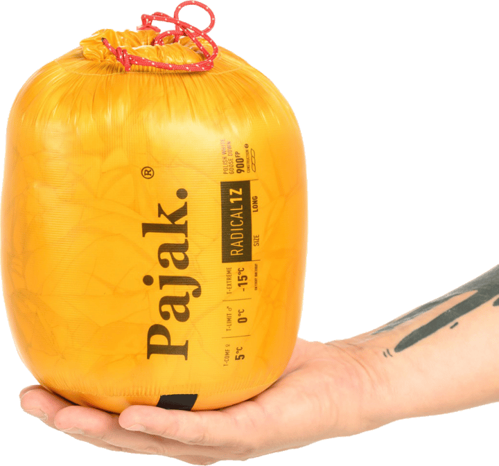 Pajak Radical 1Z Gold Pajak