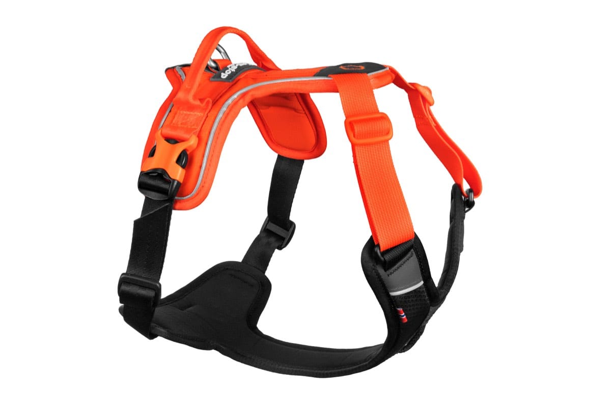 Non-Stop Dogwear Ramble Harness Orange S