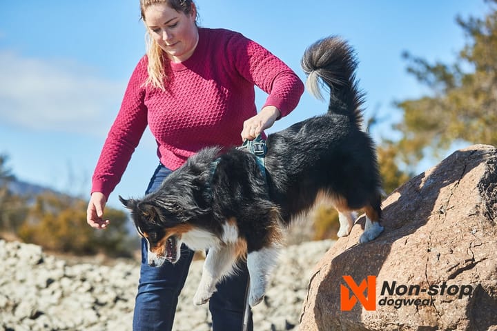 Non-Stop Dogwear Ramble Harness Orange M Non-stop Dogwear