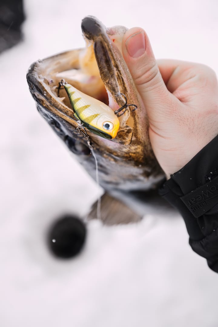 Umpqua Flies Bhatakorva Golden Brown Umpqua Flies