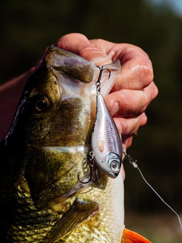 Umpqua Flies Bhatakorva Golden Brown Umpqua Flies