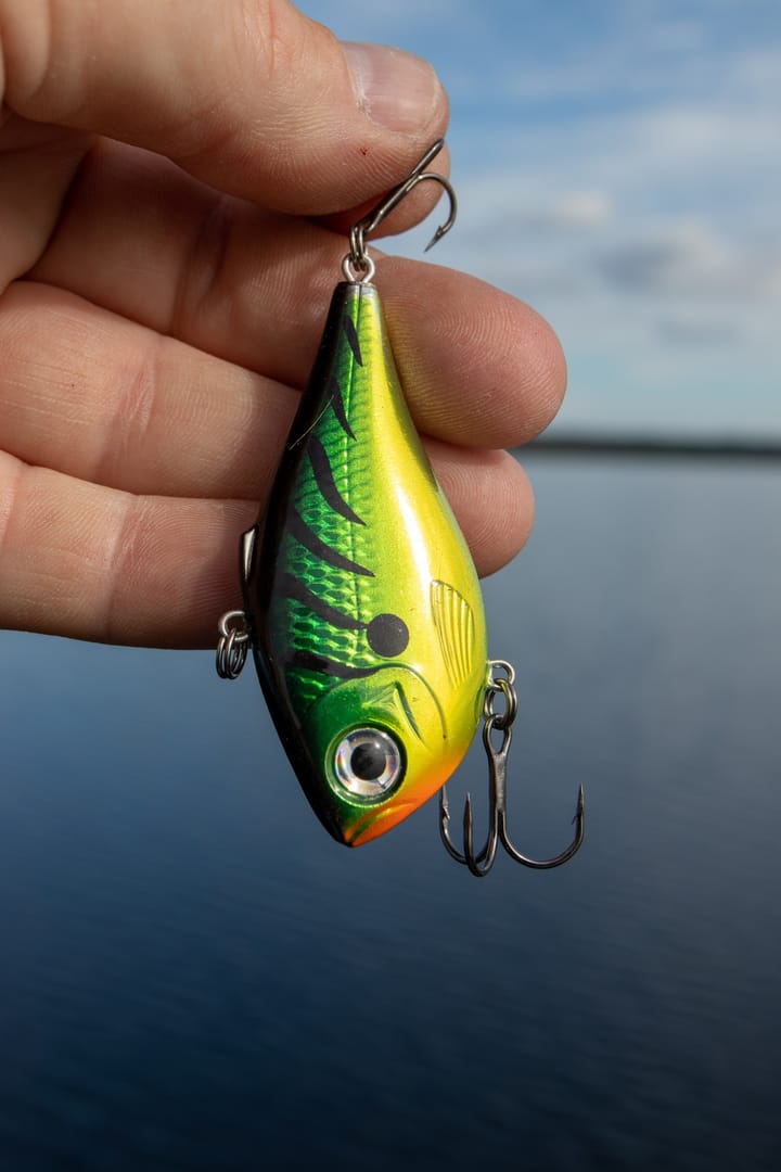 Scientific Anglers Sa Amplitude Infinity Wf Scientific Anglers Scientific Anglers Sa Amplitude Infinity Wf Scientific Anglers
