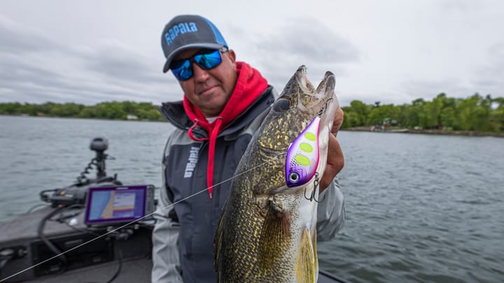 Umpqua Flies Bhatakorva Golden Brown Umpqua Flies