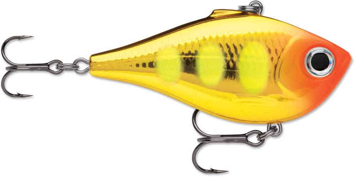 Scientific Anglers Sa Amplitude Infinity Wf Scientific Anglers Scientific Anglers Sa Amplitude Infinity Wf Scientific Anglers