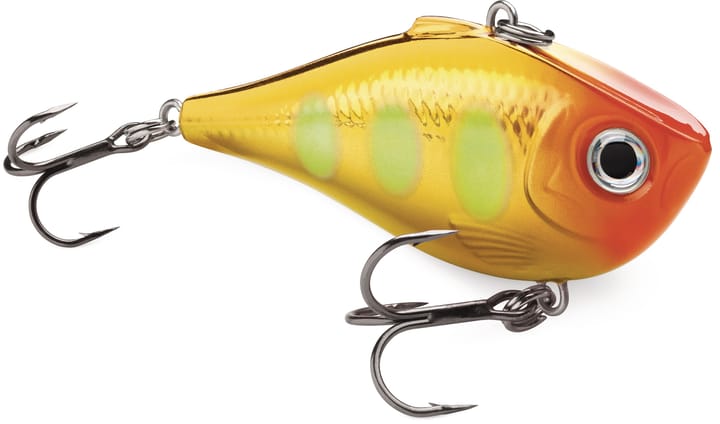 Scientific Anglers Sa Amplitude Infinity Wf Scientific Anglers Scientific Anglers Sa Amplitude Infinity Wf Scientific Anglers