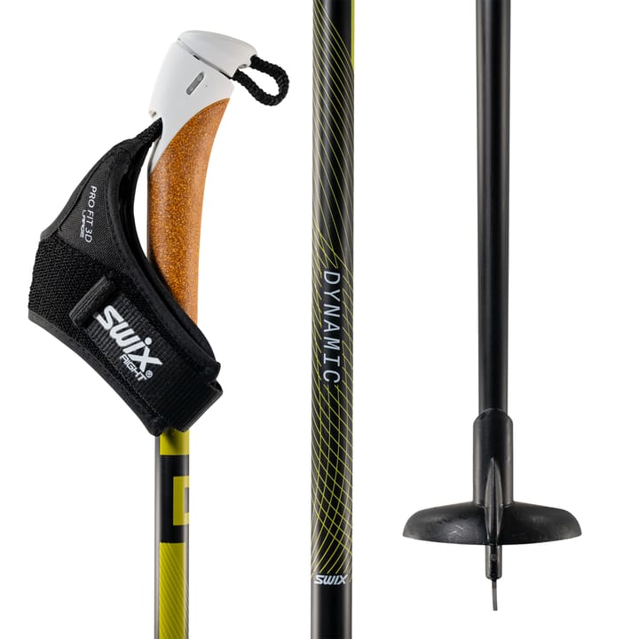 Swix Dynamic D3 pole Swix
